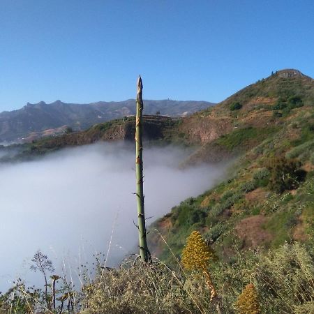 Mar De Flores Vega de San Mateo Exteriör bild