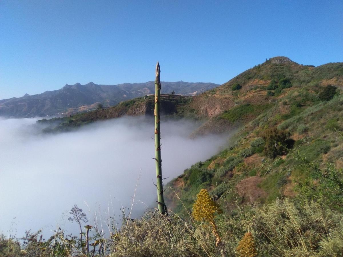 Mar De Flores Vega de San Mateo Exteriör bild