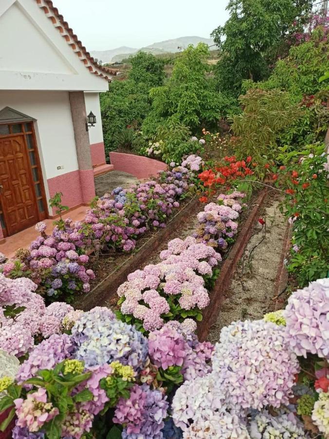 Mar De Flores Vega de San Mateo Exteriör bild